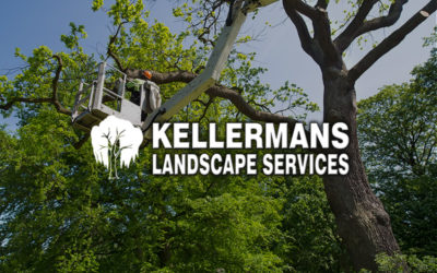 Kellerman’s Landscaping Services Reviews