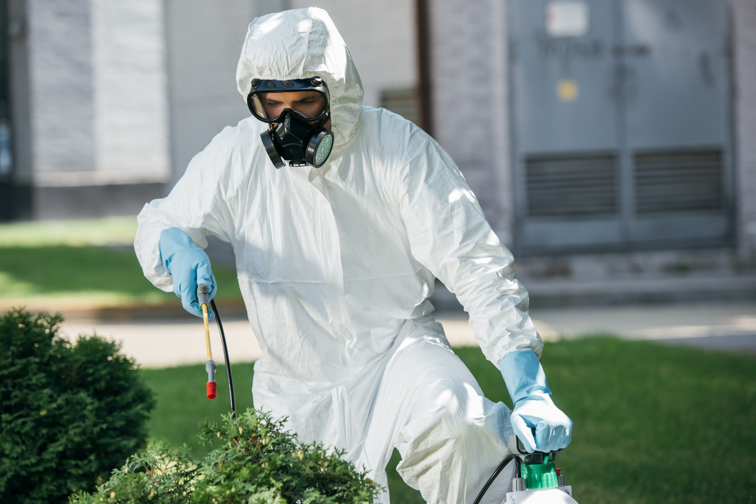 Best Chester County Pest Control Contractors